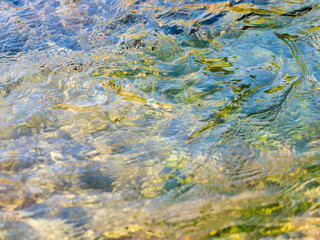 春の川　水の流れアップ221