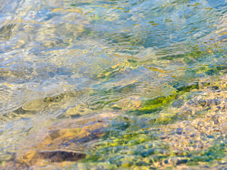春の川　水の流れアップ226