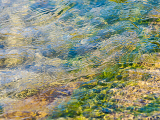春の川　水の流れアップ227