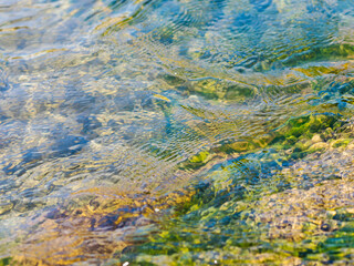 春の川　水の流れアップ228