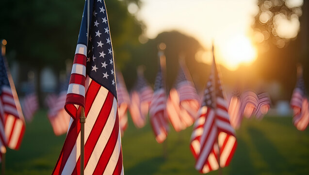 Explore elegant compositions that highlight Memorial Day traditions, featuring refined ceremonial displays, patriotic gatherings, and dignified commemorative events in outdoor settings.