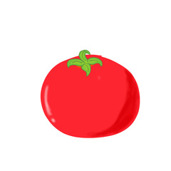 tomato vector illustration
