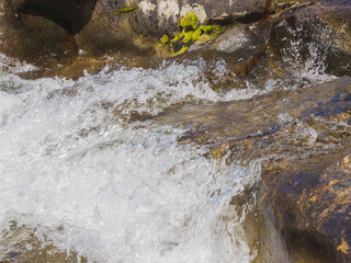 春の川　水の流れアップ254