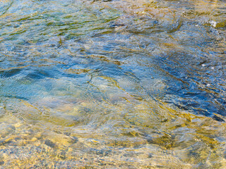春の川　水の流れアップ262