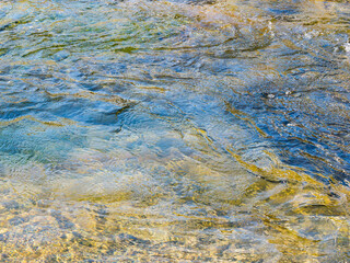 春の川　水の流れアップ263