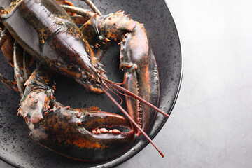 One raw lobster on grey table, top view. Space for text