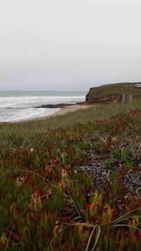 Cloudy day at the beach