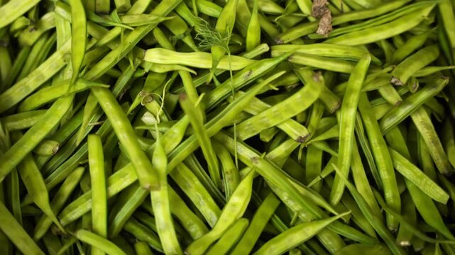 Cluster Beans for sale in local market india