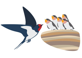 餌をねだるツバメの雛と親鳥のベクターイラストセット