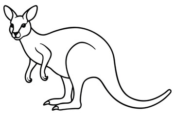 Kangaroo outline vector illustration and ready for print.