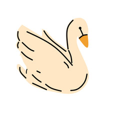 vector illustration of a swan