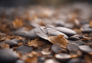pierre et feuille zen foliage saint-pierre organic fresh water rain flora mirror image relax leaf background trickle relaxation plant tropical stem dew coolness exotically pebble bead grass droplet