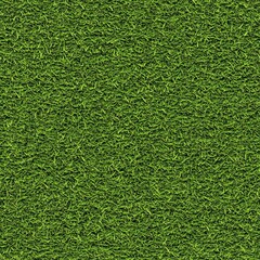Green Grass Texture Background Close-up of Lush Field for Lawn Concepts