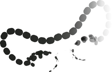 Elegant Black Abstract Icons with Glossy Finish – Sophisticated Vector Elements for Premium UI, Branding and Creative Projects