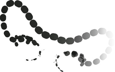 Elegant Black Abstract Icons with Glossy Finish – Sophisticated Vector Elements for Premium UI, Branding and Creative Projects