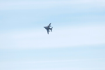 military maneuvers. Infantry, aviation and navy landing
