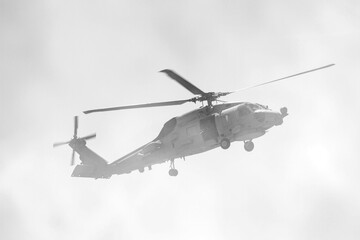 military maneuvers. Infantry, aviation and navy landing
