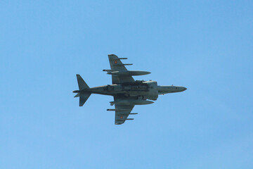 military maneuvers. Infantry, aviation and navy landing
