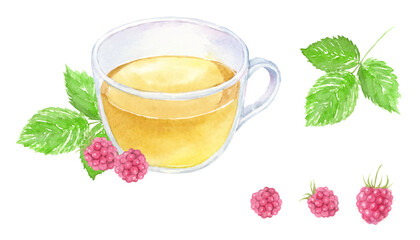 水彩で描いたラズベリーリーフティー