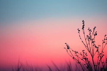 Obraz premium Silhouette of a plant against a beautiful sky at dusk