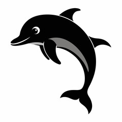 dolphin vector illustration