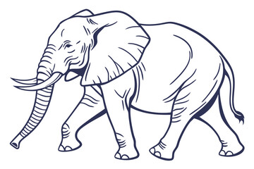 Elephant outline vector illustration and ready for print.