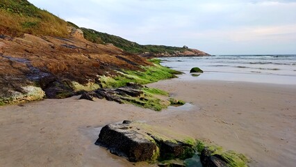 Praia do litoral sul do Brasil com pedras e musgo