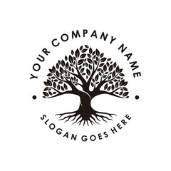 Tree of Life Oak Banyan logo design vector template