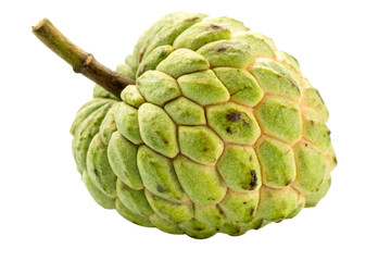 Obraz premium Sugar Apple (Annona squamosa) – Exotic Thai Custard Fruit