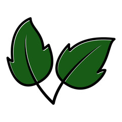 green leaf icon vector