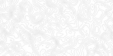 Abstract curve grid map and topo contour map on white background, Topographic contour lines. Seamless pattern with lines Topographic map. Geographic mountain relief diagram line wave carve design.	