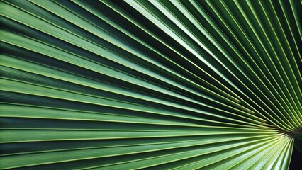 Palm Leaf Texture Background