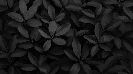 Monochromatic leaves showcase depth and texture. Dark leafy plants fill the frame. A pattern with varied tones