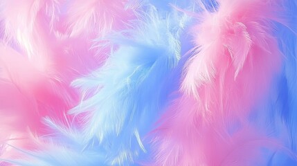 Fototapeta premium Pink and blue feathers. Soft, light, and airy texture. Gentle and delicate