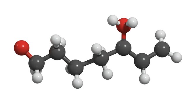 Molecular Model of Valeric Acid Molecule Showing Chemical Structure