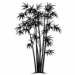 Bamboo Silhouette: Artistic Greenery in Asian Flora Natural Habitat