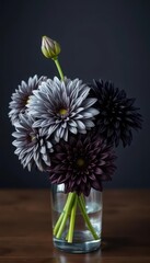 Fototapeta premium Elegant black and grey dahlias in a clear glass vase, luxury, interior design, beauty