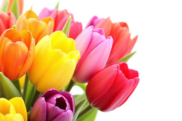 Naklejka premium bouquet of colorful tulips in a vase on a white background