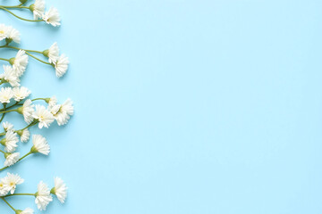 babys breath flowers on a blue background