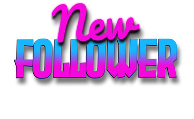 New Follower | Stream Alert Overlay | Retrowave Synthwave Overlay for Stream Animation