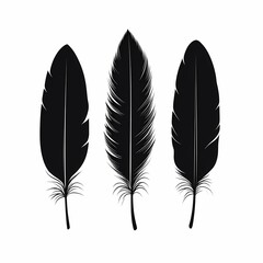 Black Feather Silhouette: Ornamental Minimalist Design for Nature-Inspired Graphic Designs