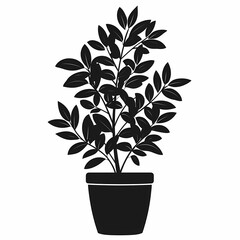 Black and White Botanical Art: Modern Houseplant Silhouette for Eco-Friendly Indoor Gardening and Decorative Foliage