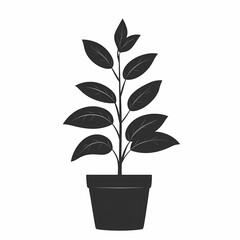 Illustration of Potted Houseplant with Green Leaves: Chic Indoor Plant Design for Eco-Friendly Home Decor and Urban Gardening Enthusiasts