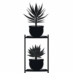 Modern Succulent Decor: A Minimalist's Guide to Stylish Indoor Gardening and Home Design