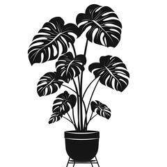 Elegant Monstera Vector Illustration: Decorative Houseplant for Modern Home and Office Decor