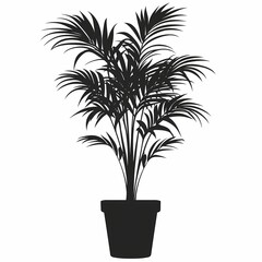 Exotic Indoor Palm Houseplant: Enhance Living Room Decor with Lush Greenery and Natural Texture