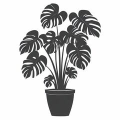Elegant Indoor Monstera Plant: A Modern Botanical Eco-Friendly Home Decor Inspiration