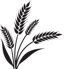 Wheat Plant Ears - Vector design illustrator 