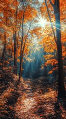 Obraz premium Sunlight beams through autumn leaves in a forest path