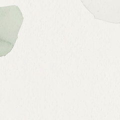 white paper texture background